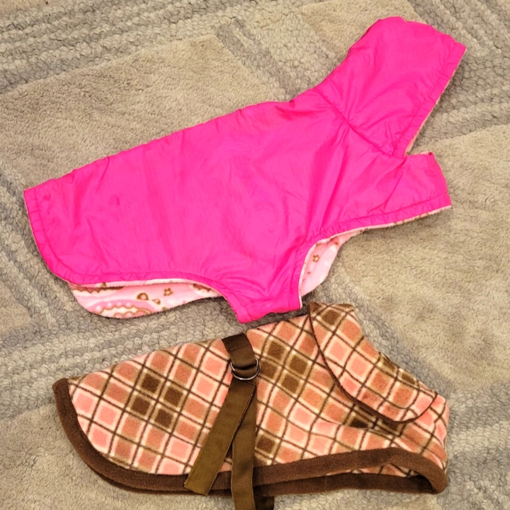 Two Winter Dog Coats (small)